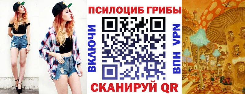 где купить   Иноземцево  Галлюциногенные грибы GOLDEN TEACHER 
